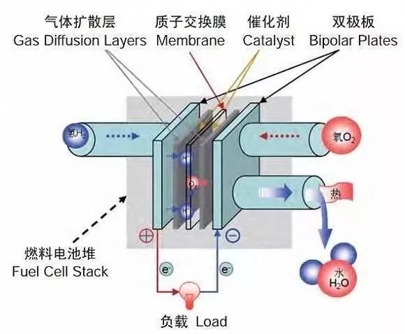 同为氢燃料电池，国内外的态度为何如此不同？